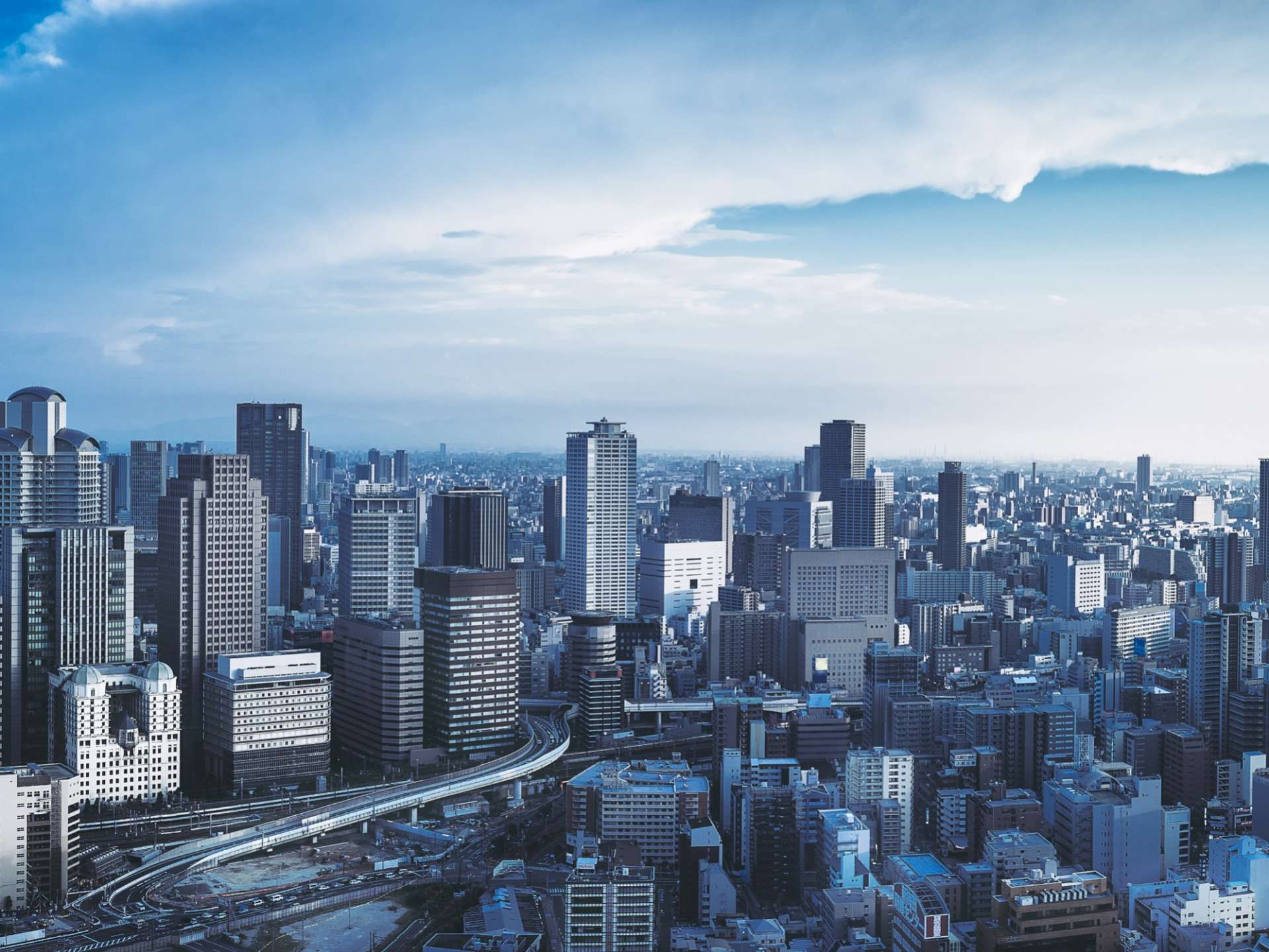 しんせい法律事務所